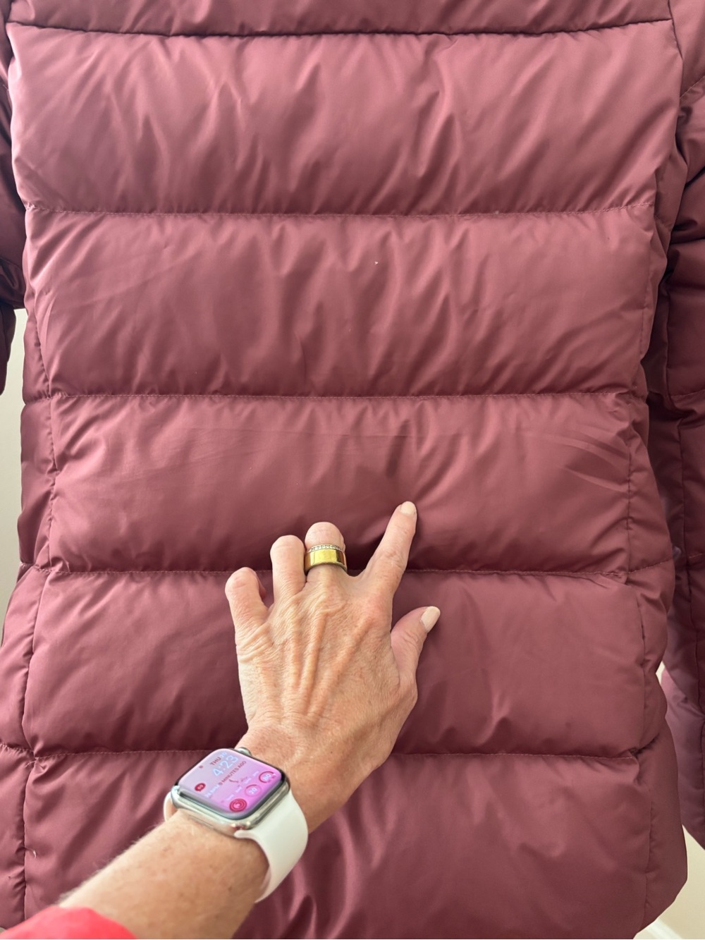 The North Face Gotham Hooded Down Jacket in Wild Ginger Mauve Size S - Picture 10 of 16